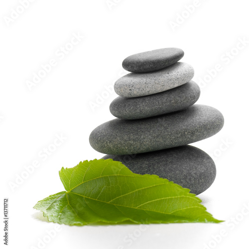 nature concept, green leaf and stones on white background