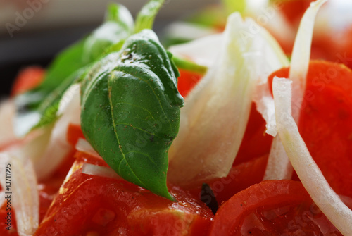 Guarnizione della panzanella - Antipasti della cucina italiana photo