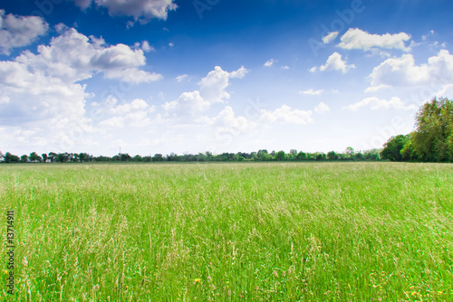 Billede på lærred prairie