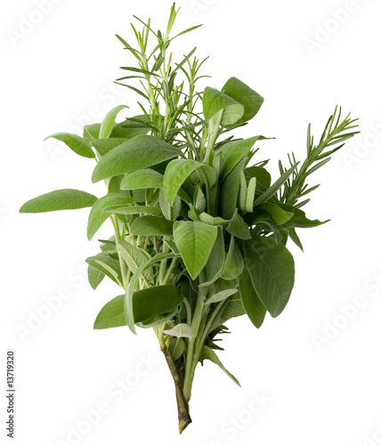 aromatic fresh herbs isolated on white background