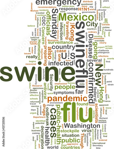 Swine flu wordcloud