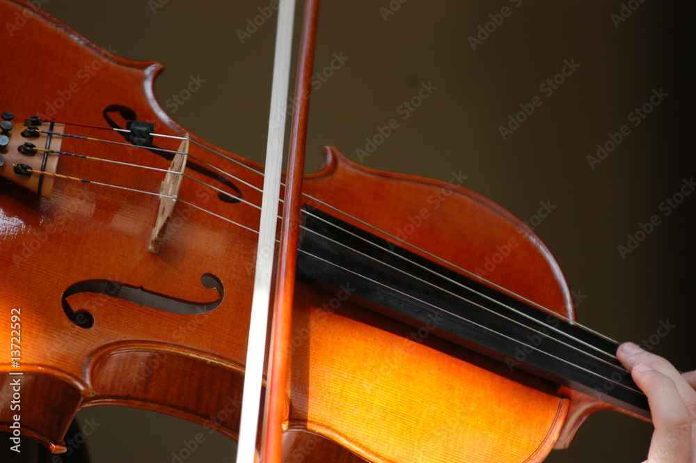 Fototapeta premium violon