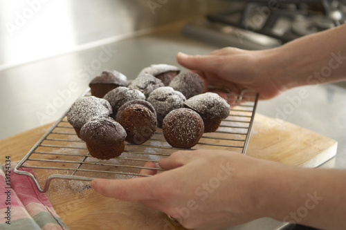 Freshly baked chocolate cupcakes held by female hands