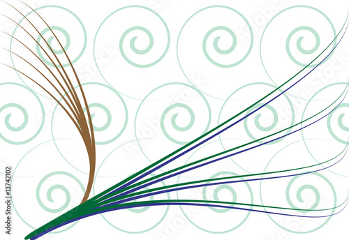 Spirals and curves