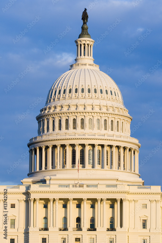 Obraz premium Capitol Building