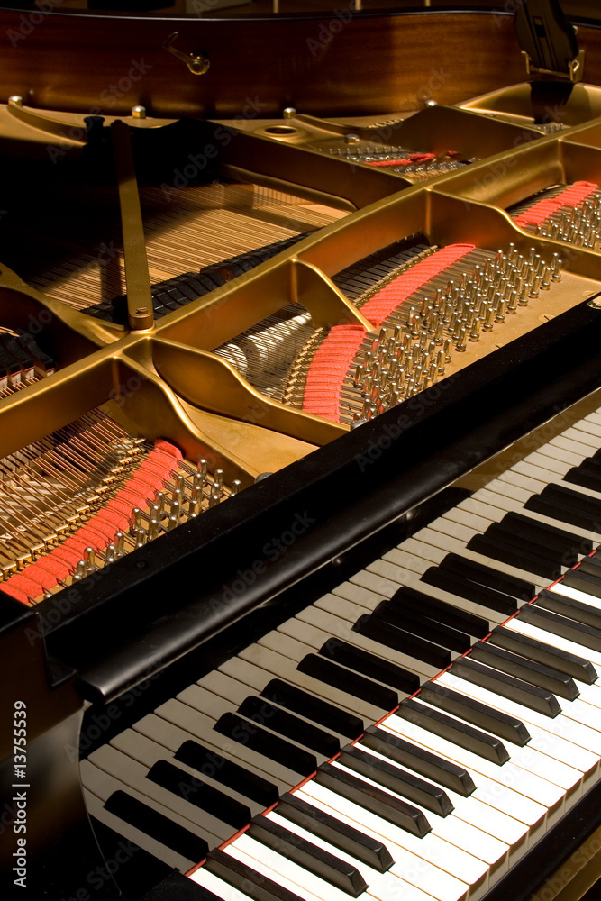 Obraz premium Grand Piano with cover open