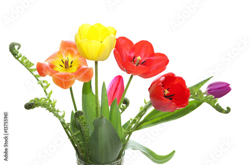 Tulips and Fern