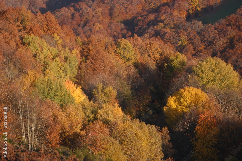 aveyron paysages d'automne