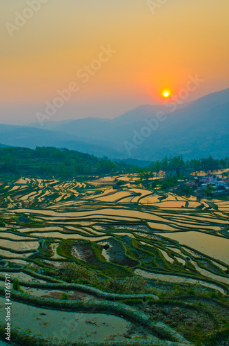 rice terraces of yuanyang, yunnan, china