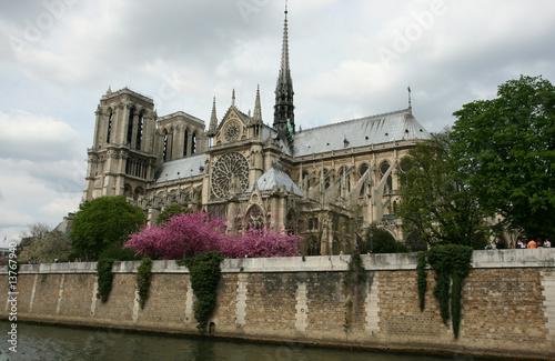 Cathédrale Notre Dame à Paris © David Bleja