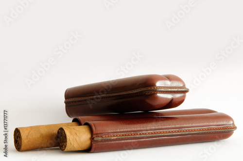 Puros habanos en cigarrera de piel