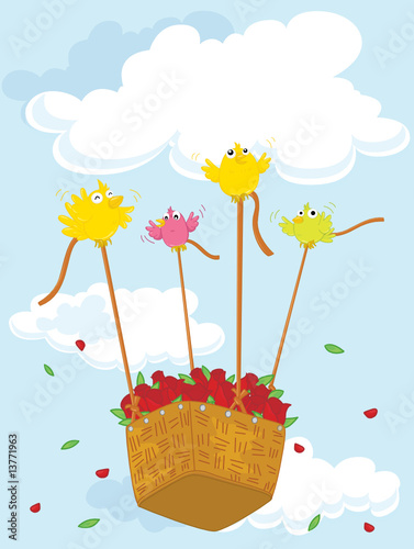 hot air balloon