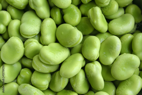 close up shot of broad beans photo