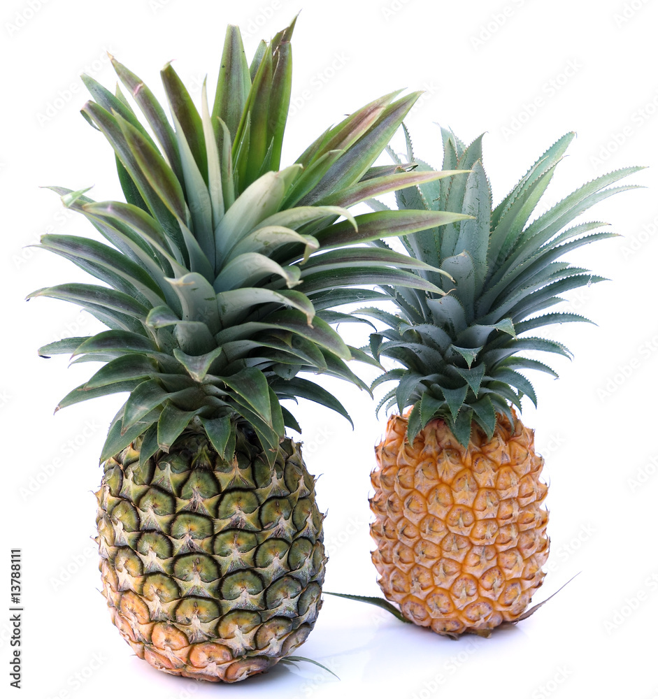 Obraz premium ananas 