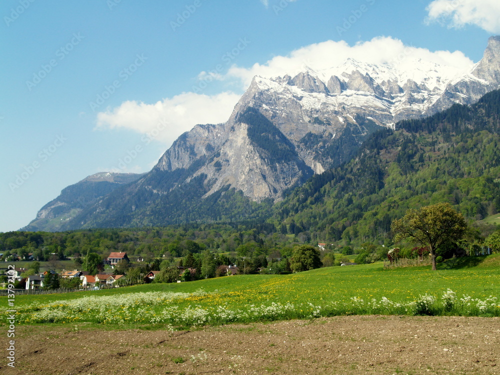 suisse rurale...maienfeld
