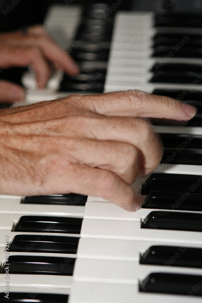 Obraz premium Orgelspieler