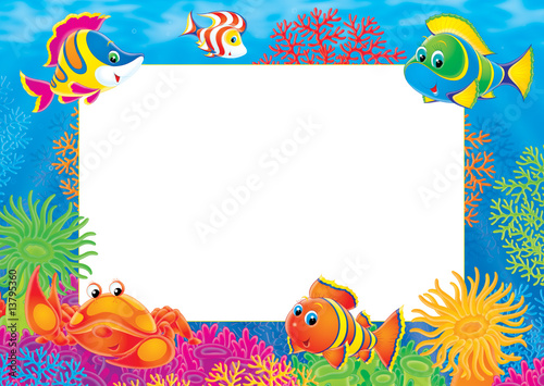 Border for summer photo