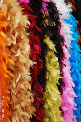 colorful feather accessories