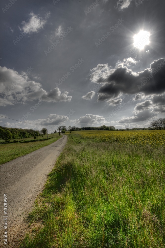 landscape landscape
