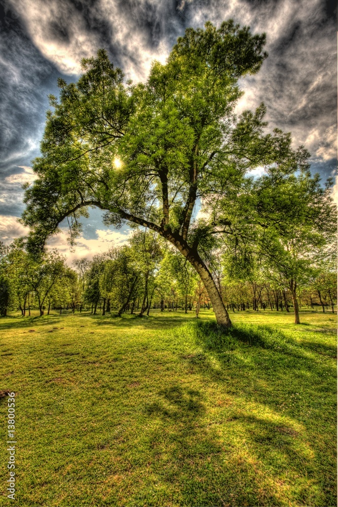 Obraz premium landscape