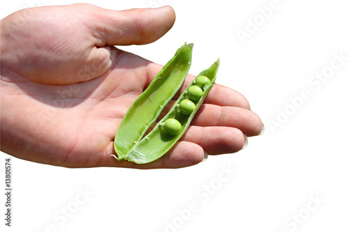 mano piselli