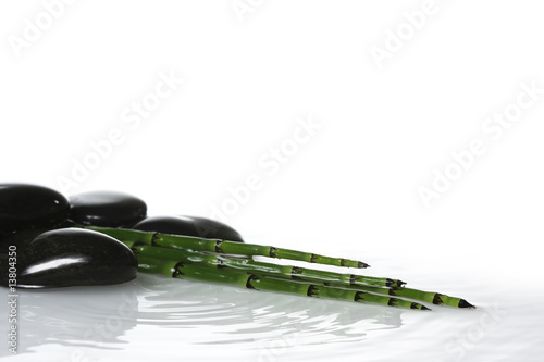 Stones & reeds in water