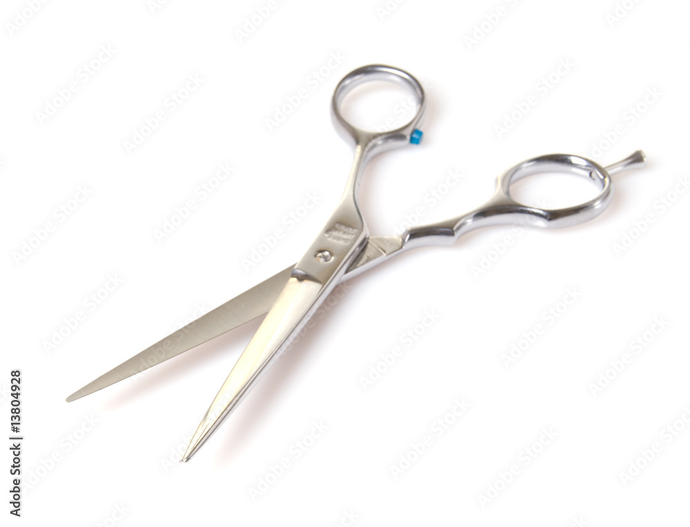 Cutting Shears Cutting Shears