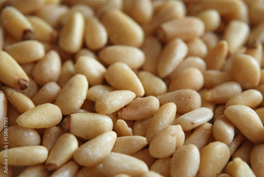 Pignons de Pin - Pine Nuts