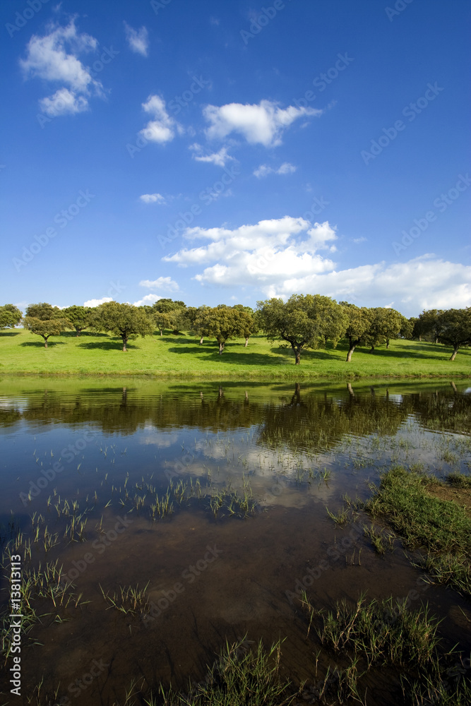 spring landscape - beautiful lake and green field