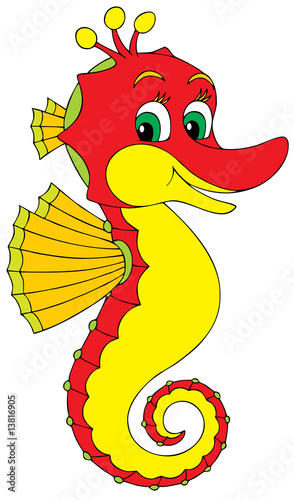 Seahorse
