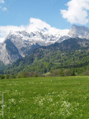 suisse ...alpes