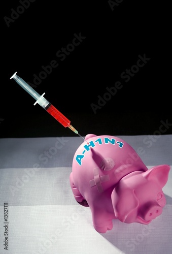 Valokuva Pig  influenza flu Injection, A h1n1 vaccine