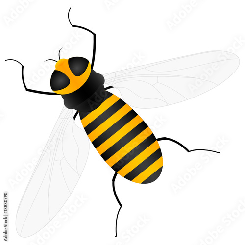 bee