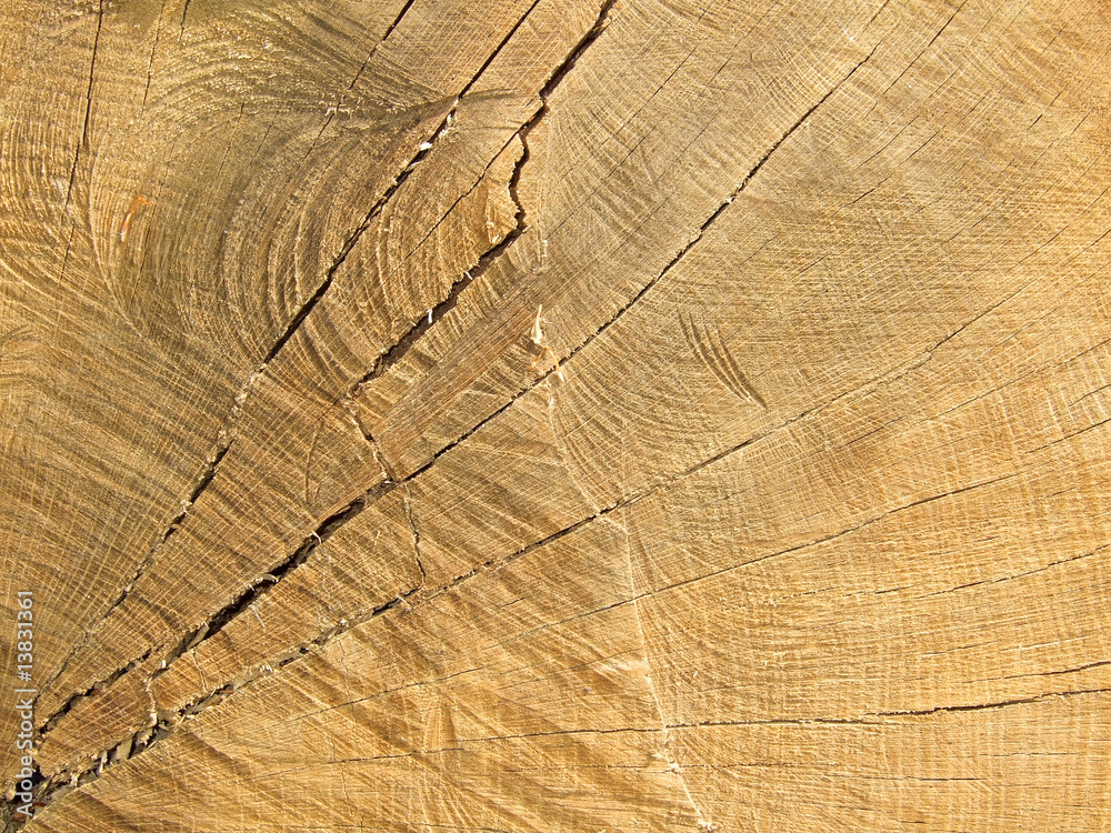 Fototapeta premium Holz-Hintergund