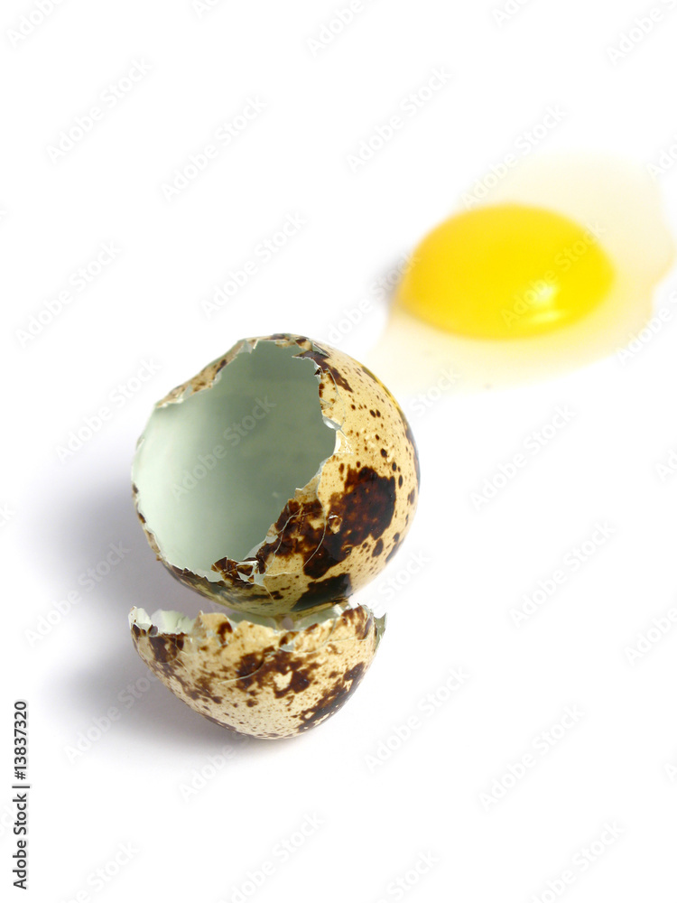Quail Egg broken on white background Quail Egg broken on white background