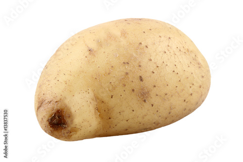 Kartoffel freigestellt