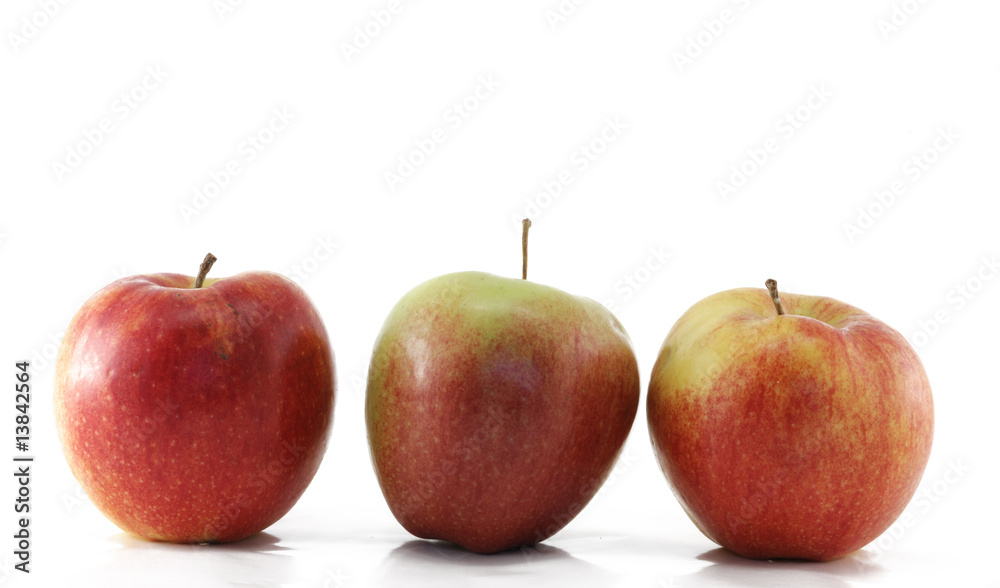 apple apple