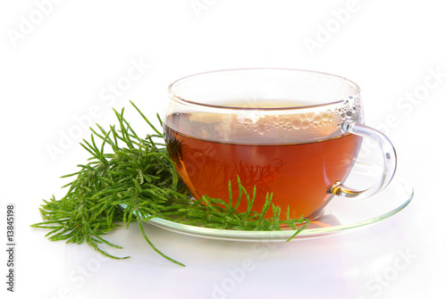 Tee Ackerschachtelhalm - tea field horsetail 01