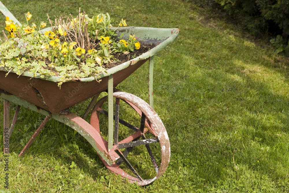Wheelbarrow in spring garden