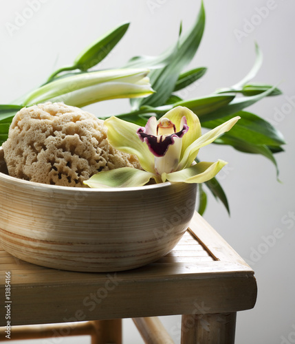 éponge naturelle et lys