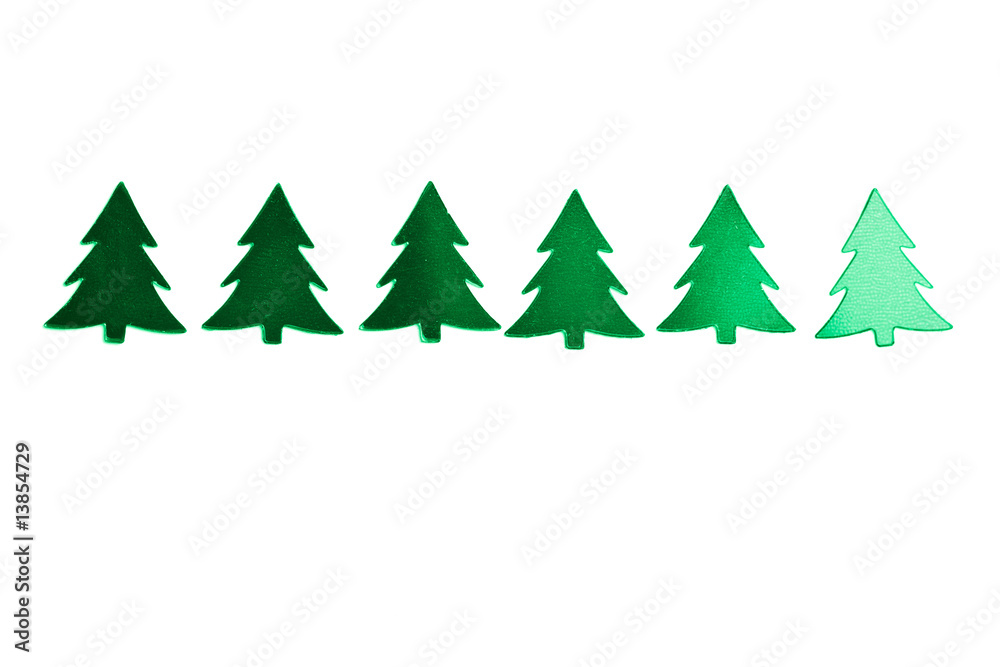 Obraz premium holiday green christmas trees isolated