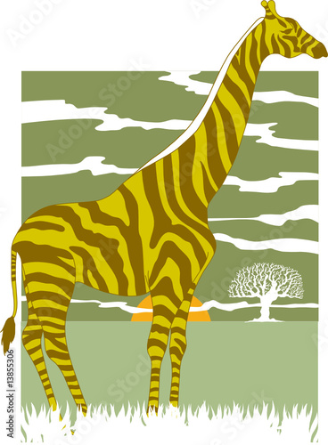 Zebra/Giraffe
