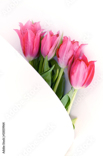 Fototapeta Naklejka Na Ścianę i Meble -  Red tulips are wrapped paper around