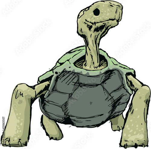 Schildkröte