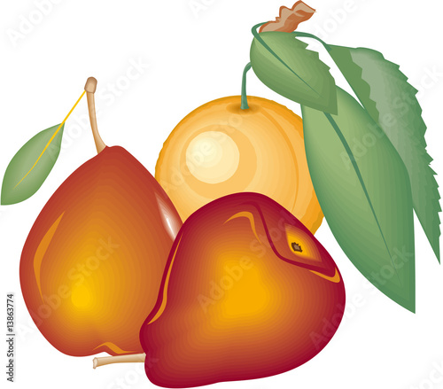 Birnen