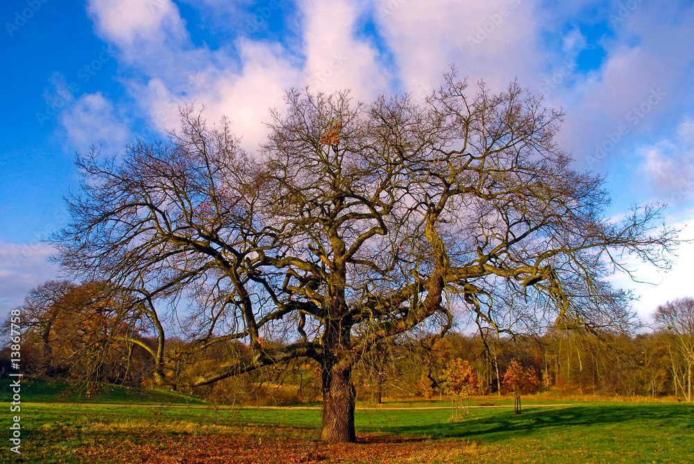 Obraz premium Herbstlandschaft