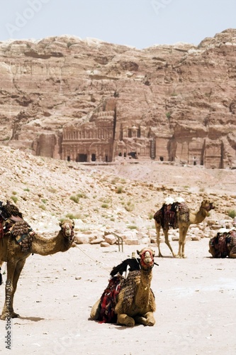 Obraz na plátně Petra ruins and mountains in Jordan