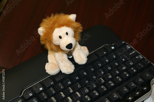 keybard lion photo