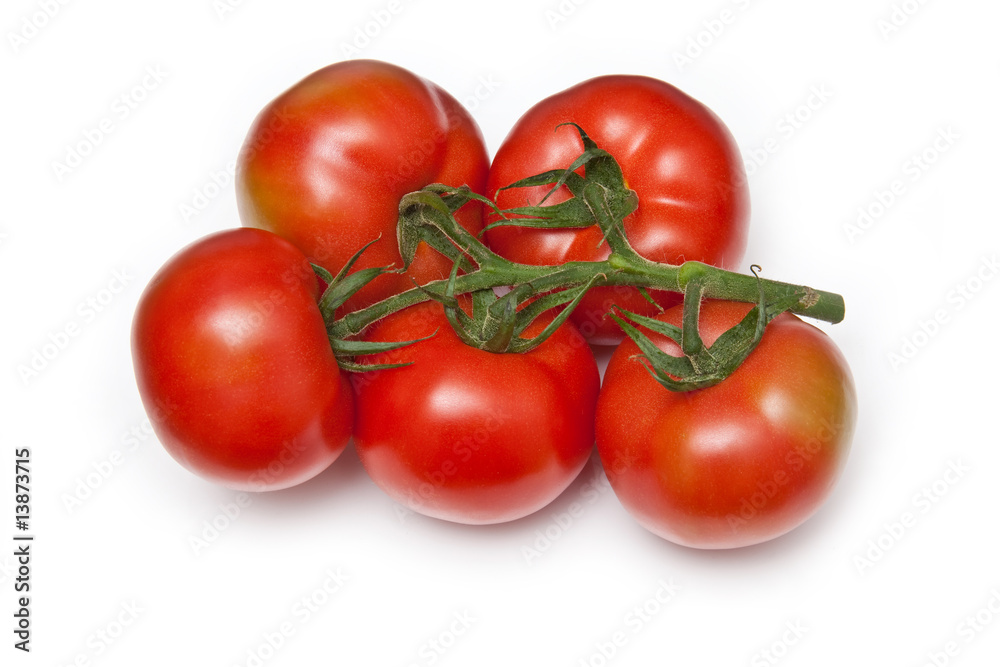 Vine tomatos isolated on a white background Vine tomatos isolated on a white background
