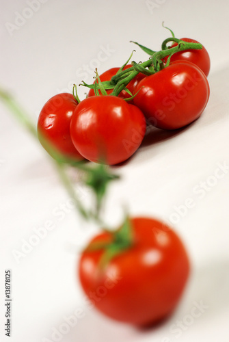rote tomaten © Tama-Tama
